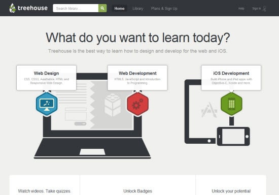 Website Design Example
