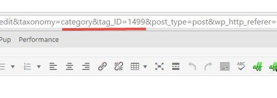 WP Category ID in URL